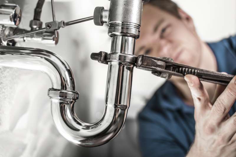 drain toilet